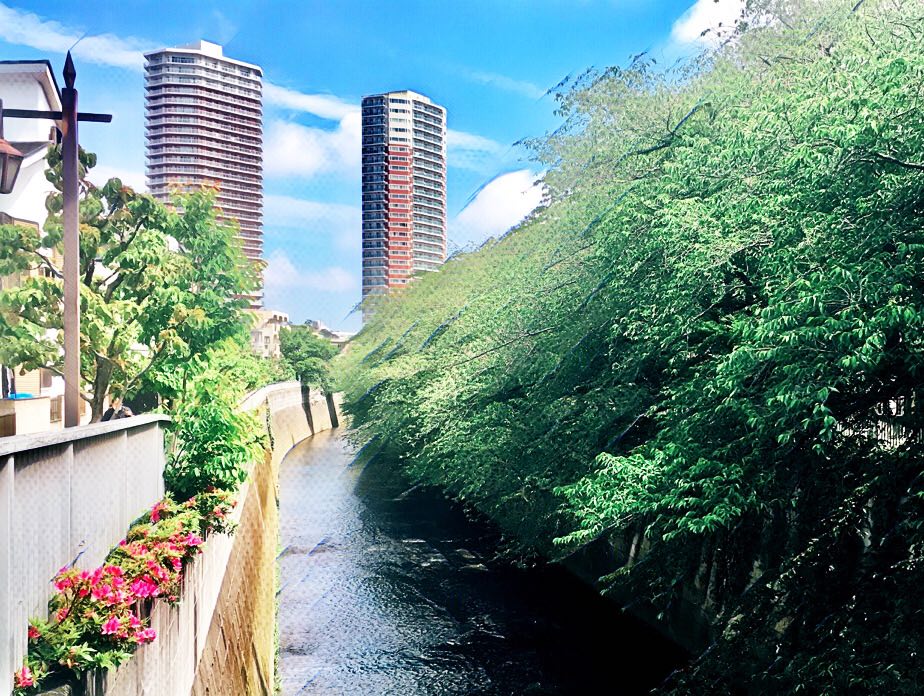 東京都中野区東中野だが、神田川を挟んで隣は新宿区北新宿。東中野のタワーマンション方向を撮影
