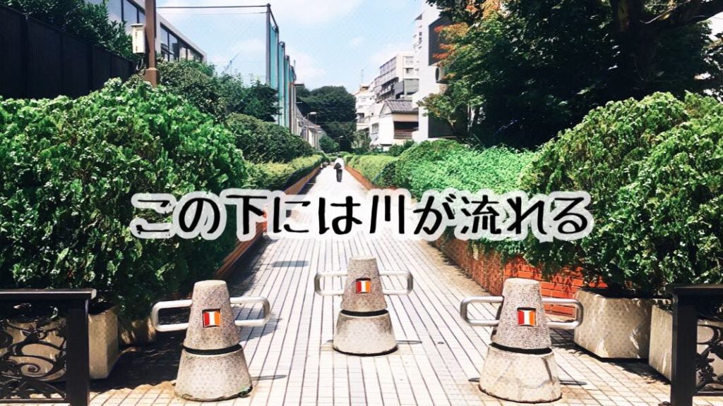 ご近所探検 - 東京都中野区、東中野・中野坂上・中野新橋・中野駅の寺社公園巡り - 中野区を流れる桃園川緑道