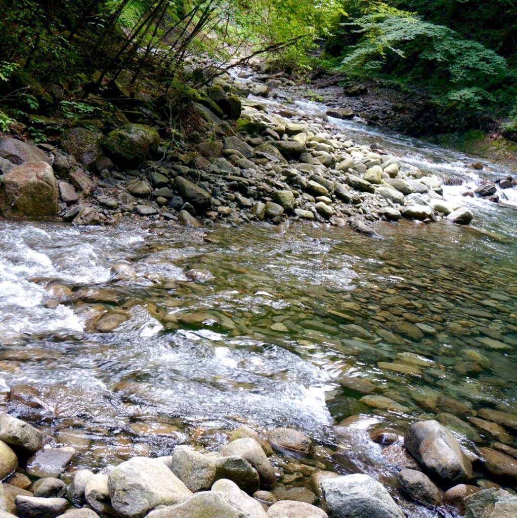 山梨県・西沢渓谷 Japan Nature - D15